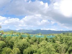 -陶祖圣境风景区