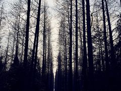 怡沁园度假村-上海怡沁园度假酒店