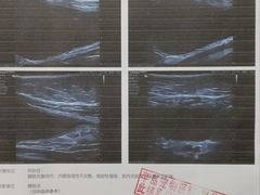 -半岛宠物医院24小时(科华中路店)