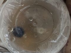 -红蕃干锅·脆皮香辣虾(南屏街金鹰店)