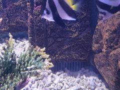 -常州海昌海洋探索馆