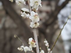 -北京明城墙遗址公园
