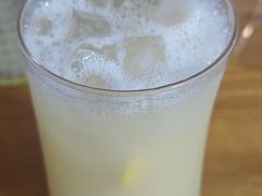 柠檬乳酸菌-小二楼炖肠