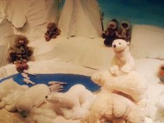 泰迪熊博物馆-济州岛泰迪熊博物馆