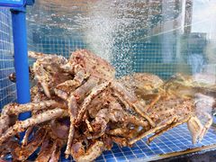 -海鲨湾海鲜会馆(百家湖1912店)