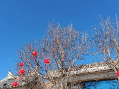 -烟墩角天鹅湖