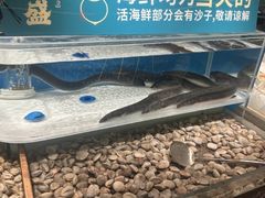 -東盛炭烤自助料理(玄武招商花园城店)