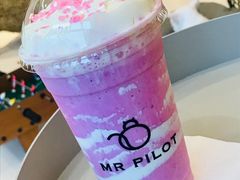 -飞行喵MR PILOT|猫舍·猫咖(静安大融城店)