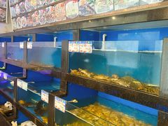 -华盛丰温州大排档(东三环南路店)