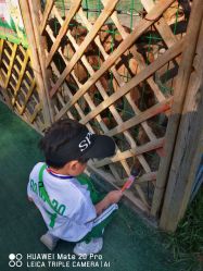 点击看大图 -萌宠亲子动物乐园(槐房万达店)