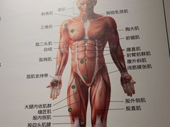 -通透堂中医·精准推拿(万科云城分院)