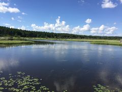 -塞罕坝国家级自然保护区