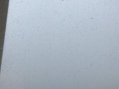 -大个子蒸饭