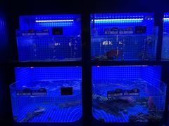 -望海臻鲜·海鲜餐厅