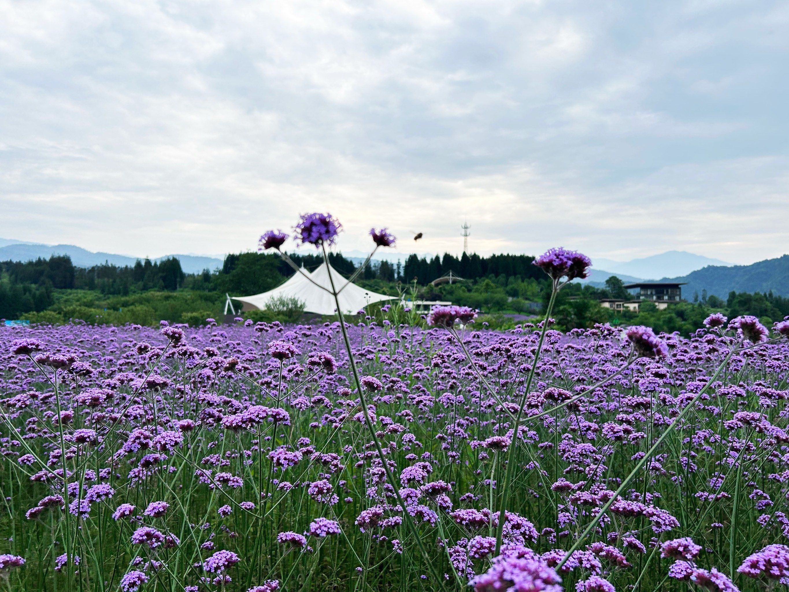 龙苍沟森林公园