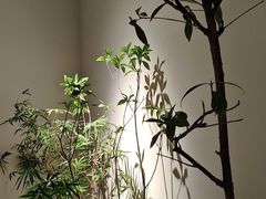 -tea'stone (万象天地店)
