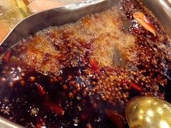 -朱氏胖子烂火锅(洪崖洞店)