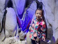 -太平洋海底世界