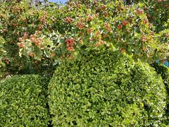 -中关村生命科学园