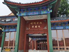 -大明幻境第一城