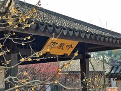 -无锡梅园公园