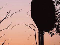 -上海滨江森林公园