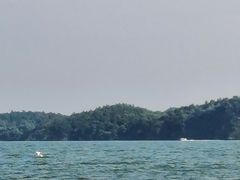 -鄱阳湖国家湿地公园
