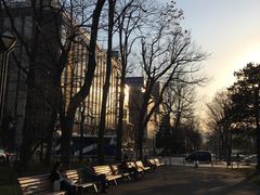 -札幌电视塔
