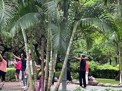 -晓港公园