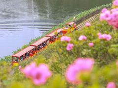 -黄龙溪欢乐田园