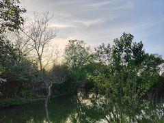 -西溪国家湿地公园