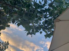 -Catail前苑(前门大街店)