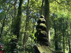 -青城山
