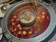 -杨肥肠火锅大排档(火车站花园店)