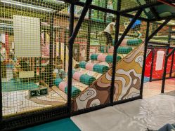 -meland亲子乐园(深圳领展中心城店)