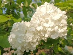 -白塘生态植物园