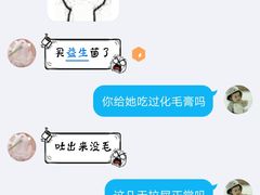 -顺强宠物诊所·狂犬免疫·夜诊·骨科(嘉定店)