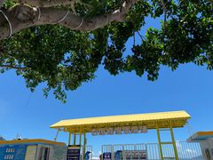 -海角城白海豚浪漫海滩