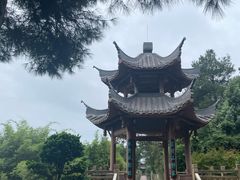 -铁山坪森林公园