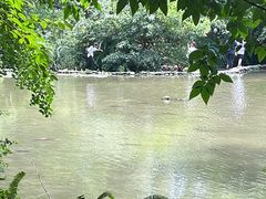 -成都杜甫草堂博物馆