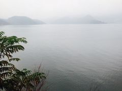 iphone_upload_pic-望湖烤鱼