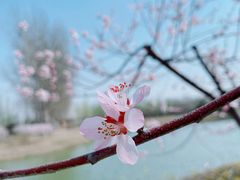 -东郊湿地公园