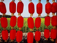 -中国天府农业博览园