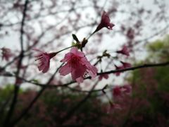 -乌山风景区