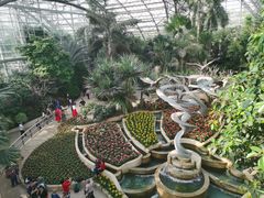 -南山植物园