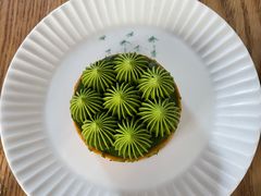 抹茶挞-猫里有甜