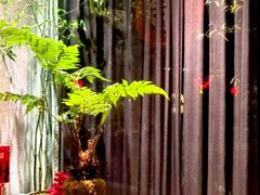 -王府茶楼茶宴·创意菜(大观园总店)