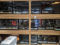 -酷以爬仙阁实体爬宠店·守宫·蜥蜴·专业繁育