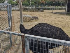 -苏州上方山国家森林公园
