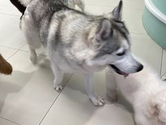 -怪兽屋·羊驼·猫咖·狗咖(俊华广场店)